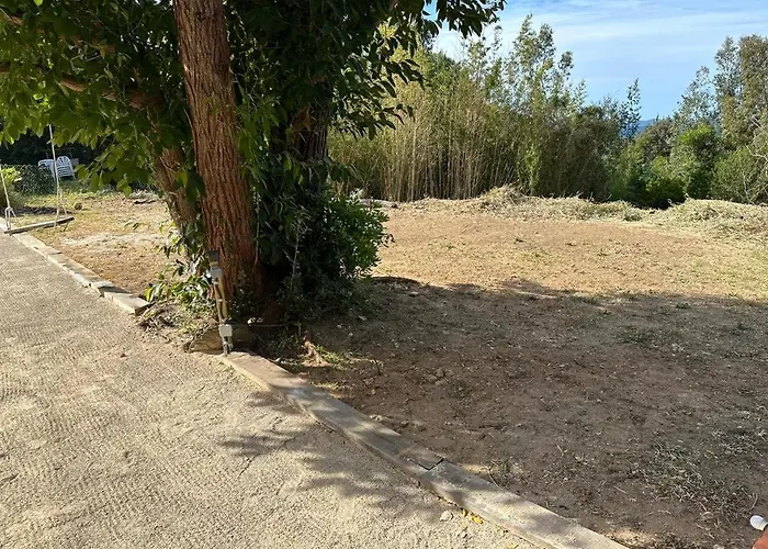 Le Jardin De Neptune *