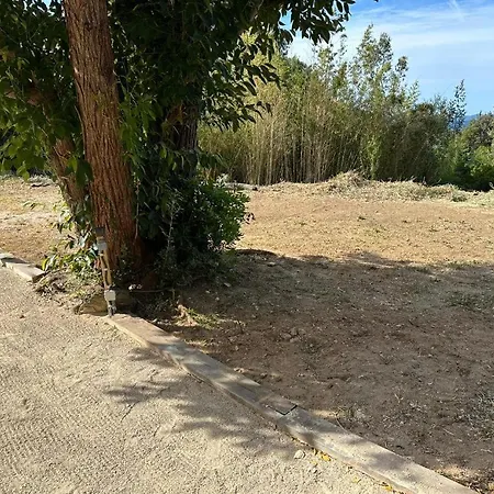 Le Jardin De Neptune *